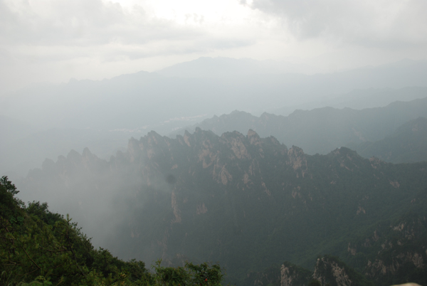 ������ɭ�ֶȼ���