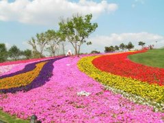 ����+ũҵ�����Դ�������ʮ�����ҵģʽ