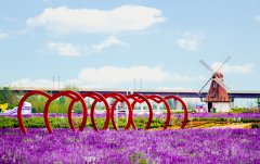 2015������ũҵ���߻��� ��������г���չǰ�����