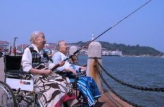 �ȼ١����ϡ�Ͷ��������̬ͻ��