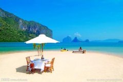 ����ƽ̨��׼����ȼ�ϸ���г�